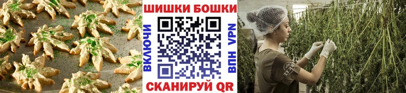 Canna-Cookies марихуана  закладки  Чаплыгин 