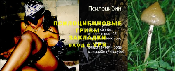 кокаин Алексеевка