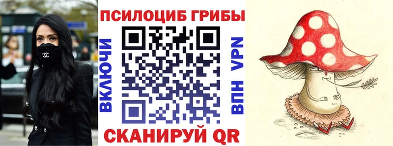 где продают Чаплыгин Псилоцибиновые грибы Psilocybe